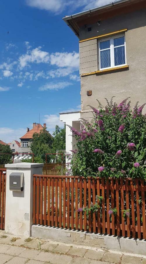 Penzion Flora Žatec Buitenkant foto