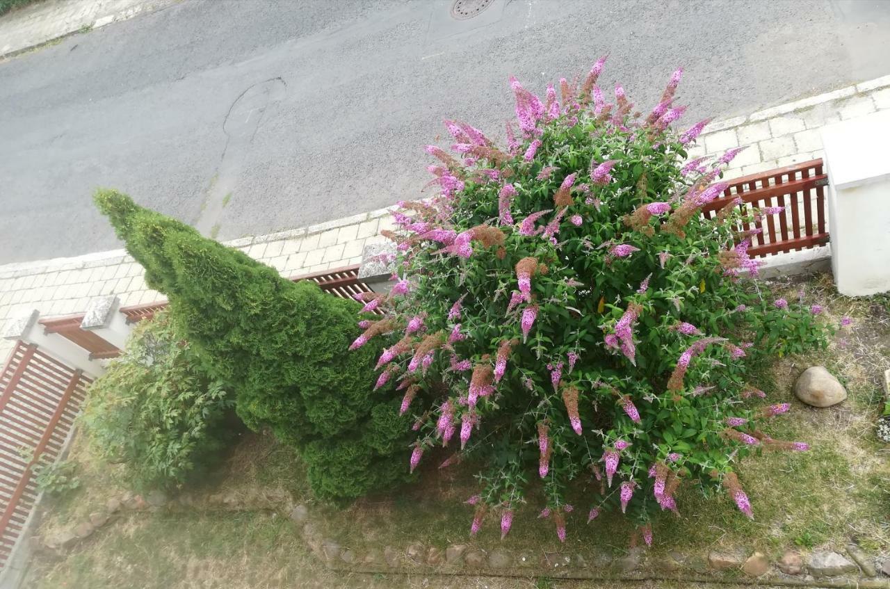 Penzion Flora Žatec Buitenkant foto