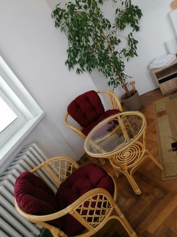 Penzion Flora Žatec Buitenkant foto